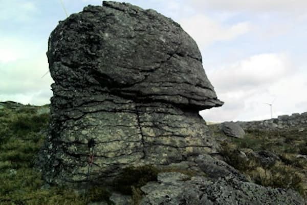 Foto 2 da atividade Galeria de Fotos