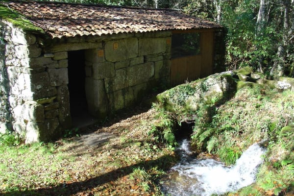 Foto 76 da atividade Galeria de Fotos