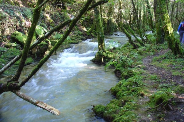 Foto 69 da atividade Galeria de Fotos