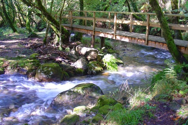 Foto 66 da atividade Galeria de Fotos