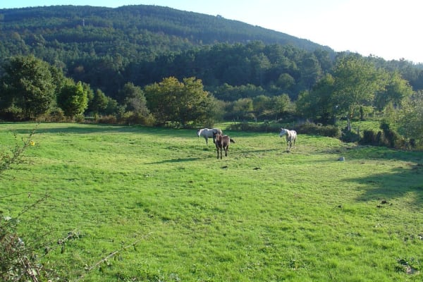 Foto 59 da atividade Galeria de Fotos