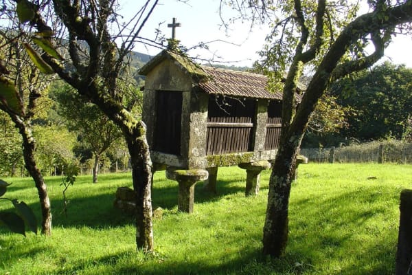 Foto 57 da atividade Galeria de Fotos