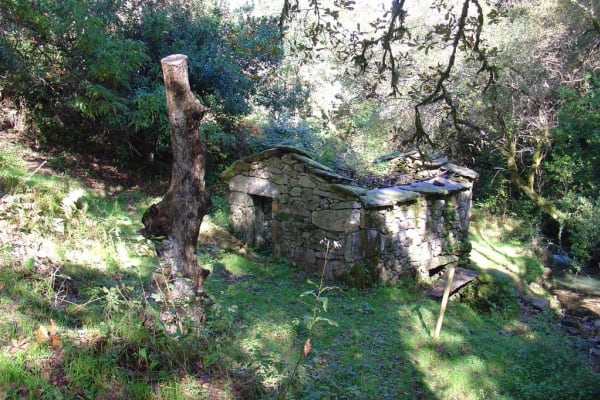 Foto 49 da atividade Galeria de Fotos