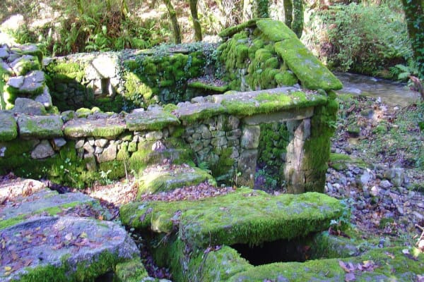 Foto 38 da atividade Galeria de Fotos