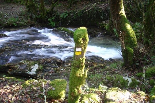 Foto 34 da atividade Galeria de Fotos