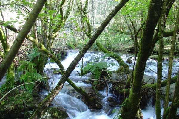 Foto 30 da atividade Galeria de Fotos