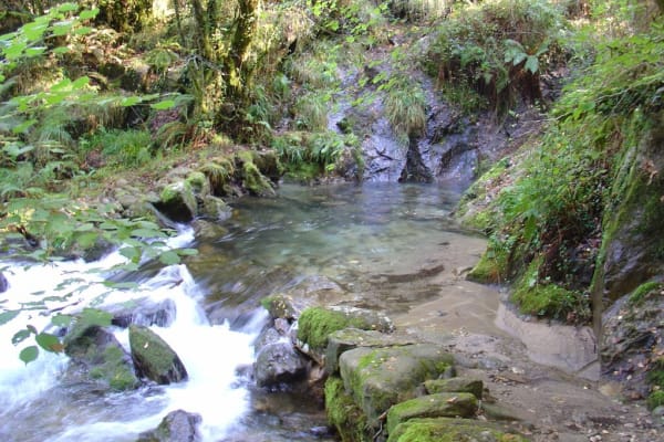 Foto 26 da atividade Galeria de Fotos