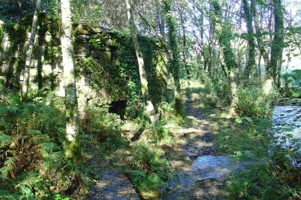 Foto 23 da atividade Galeria de Fotos