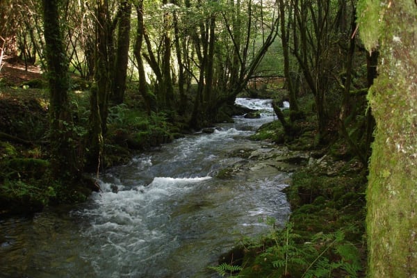 Foto 22 da atividade Galeria de Fotos