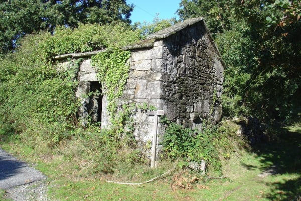 Foto 24 da atividade Galeria de Fotos