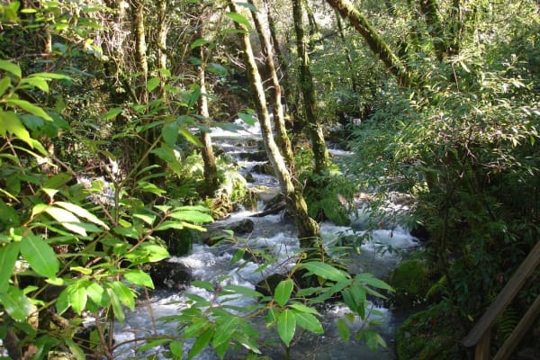 Foto 4 da atividade Galeria de Fotos