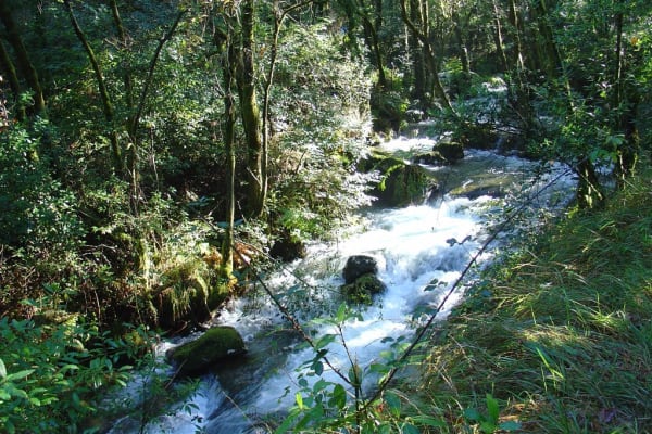 Foto 3 da atividade Galeria de Fotos