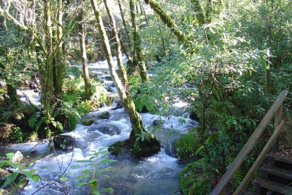 Foto 2 da atividade Galeria de Fotos