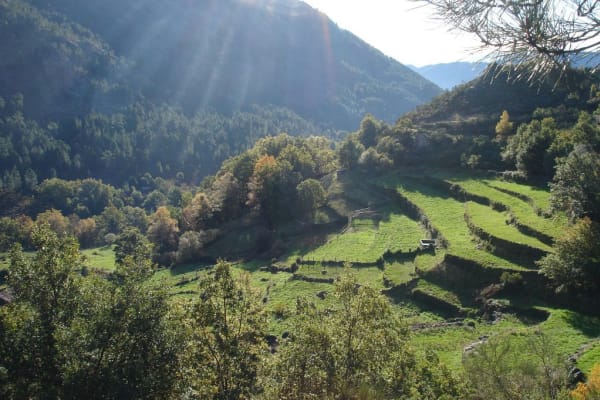 Foto 83 da atividade Galeria de Fotos