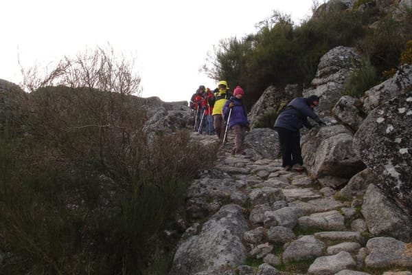 Foto 64 da atividade Galeria de Fotos