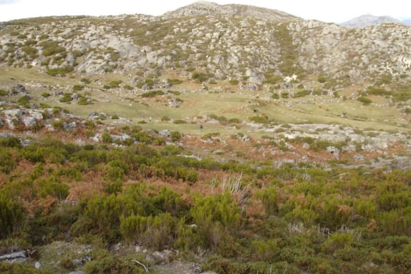 Foto 41 da atividade Galeria de Fotos