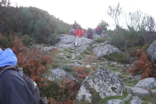 Foto 38 da atividade Galeria de Fotos