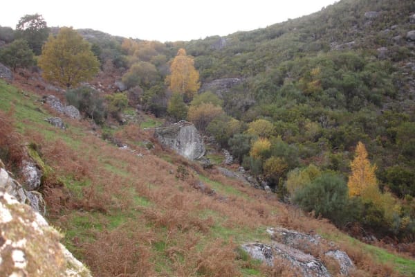 Foto 29 da atividade Galeria de Fotos