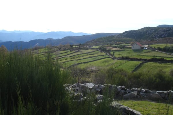 Foto 5 da atividade Galeria de Fotos