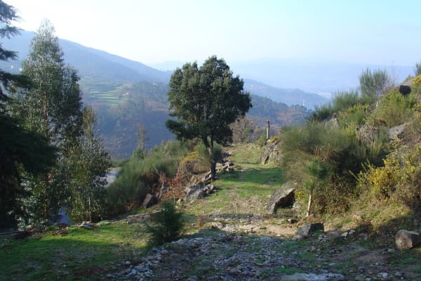 Foto 98 da atividade Galeria de Fotos