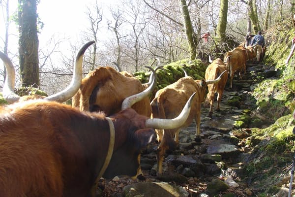 Foto 96 da atividade Galeria de Fotos