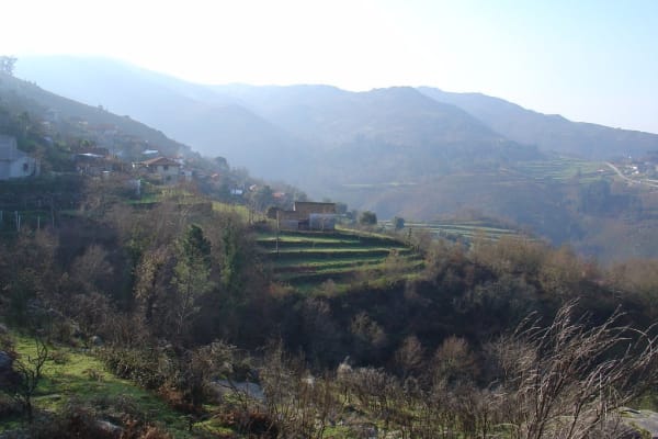 Foto 84 da atividade Galeria de Fotos