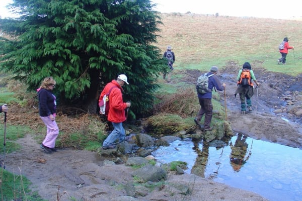 Foto 79 da atividade Galeria de Fotos