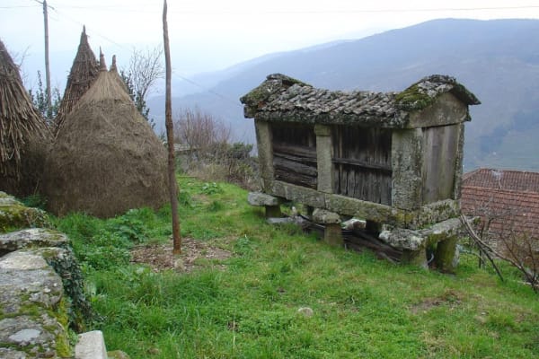 Foto 63 da atividade Galeria de Fotos