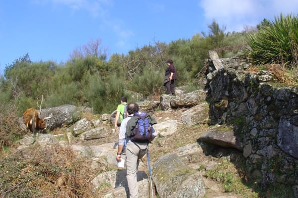 Foto 50 da atividade Galeria de Fotos