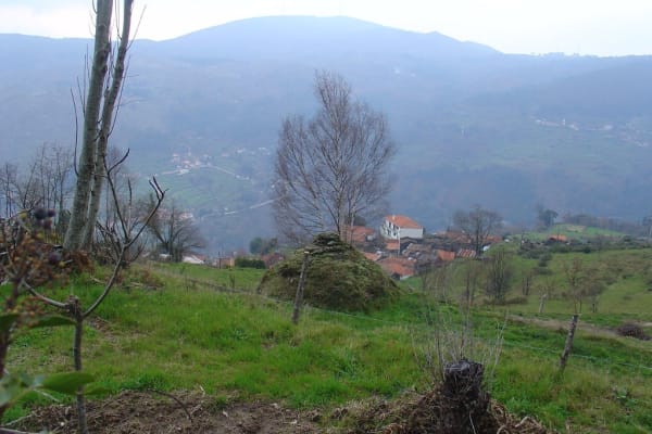 Foto 47 da atividade Galeria de Fotos