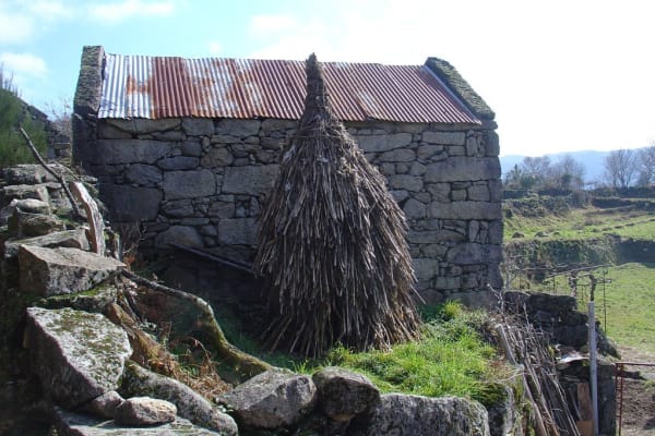 Foto 42 da atividade Galeria de Fotos