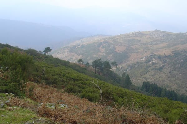 Foto 26 da atividade Galeria de Fotos