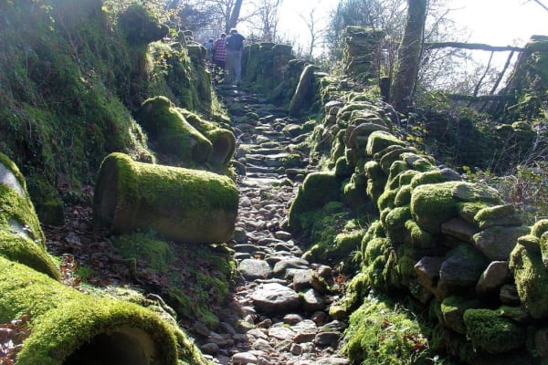 Foto 9 da atividade Galeria de Fotos