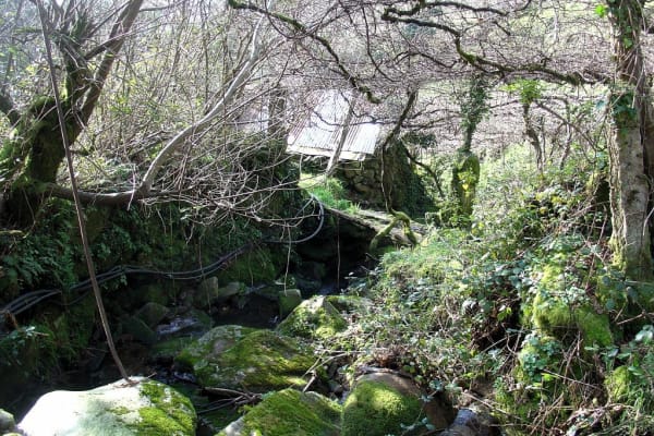 Foto 6 da atividade Galeria de Fotos