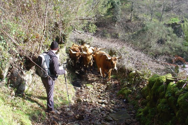 Foto 3 da atividade Galeria de Fotos