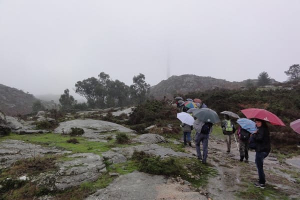 Foto 52 da atividade Galeria de Fotos