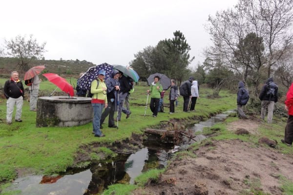 Foto 45 da atividade Galeria de Fotos