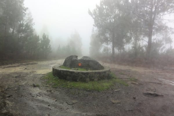 Foto 30 da atividade Galeria de Fotos