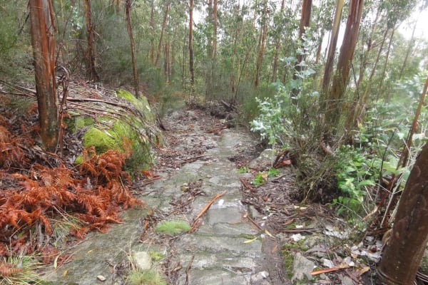 Foto 23 da atividade Galeria de Fotos