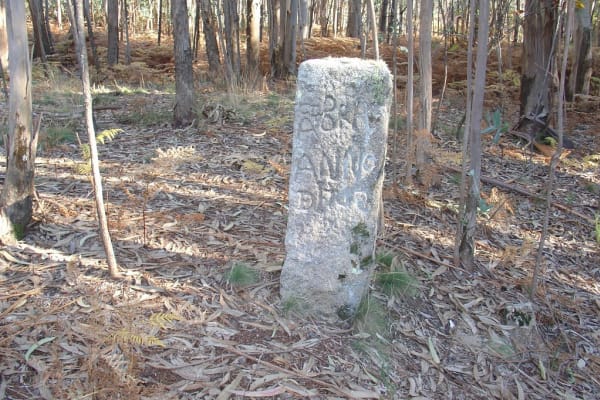 Foto 27 da atividade Galeria de Fotos