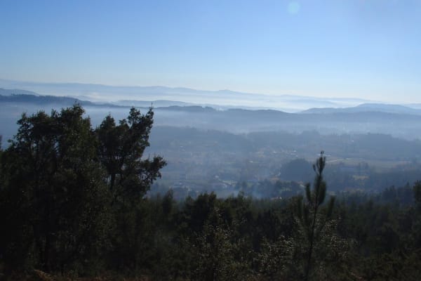 Foto 20 da atividade Galeria de Fotos