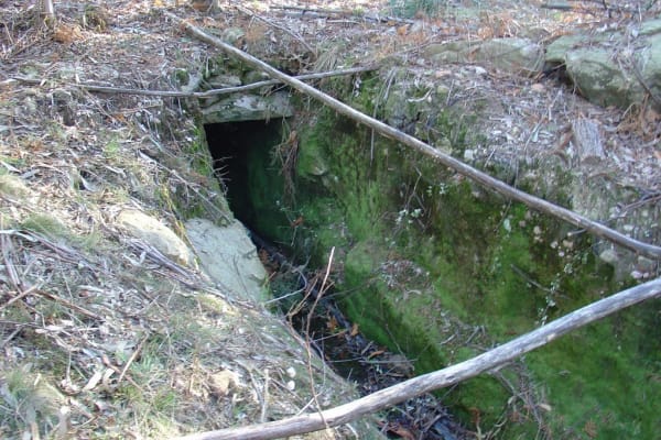 Foto 19 da atividade Galeria de Fotos