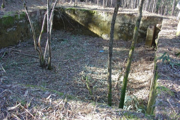 Foto 17 da atividade Galeria de Fotos