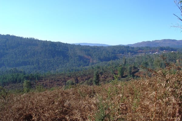 Foto 12 da atividade Galeria de Fotos