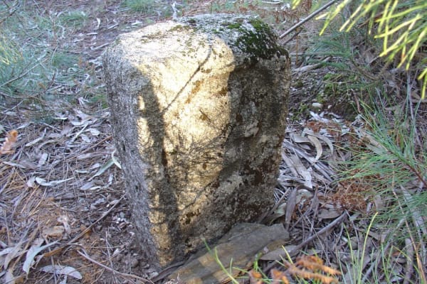 Foto 13 da atividade Galeria de Fotos