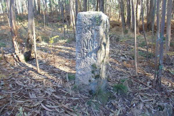 Foto 5 da atividade Galeria de Fotos