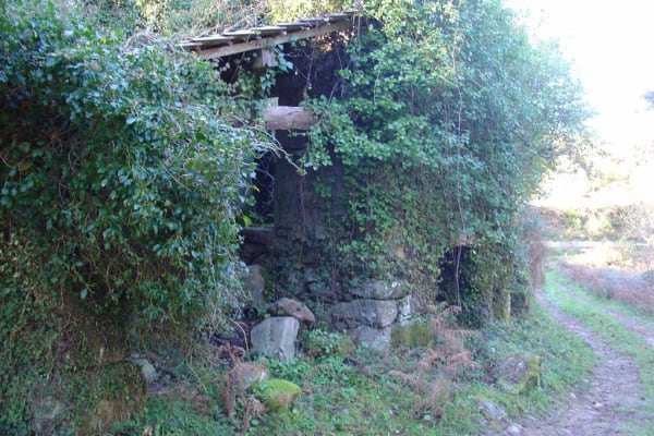 Foto 2 da atividade Galeria de Fotos