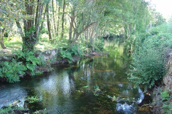 Foto 86 da atividade Galeria de Fotos