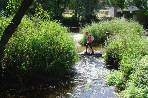 Foto 51 da atividade Galeria de Fotos