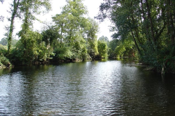 Foto 27 da atividade Galeria de Fotos